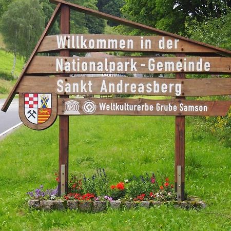 Apartment Harzblick -Neu Modernisiert- Sankt Andreasberg Eksteriør bilde
