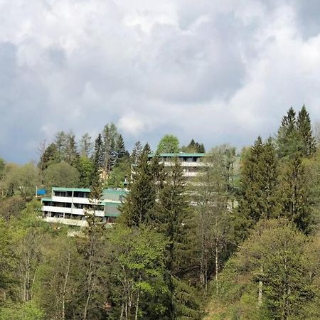 Apartment Harzblick -Neu Modernisiert- Sankt Andreasberg Eksteriør bilde
