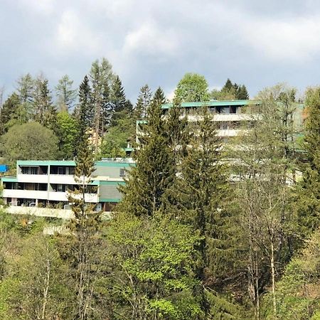 Apartment Harzblick -Neu Modernisiert- Sankt Andreasberg Eksteriør bilde